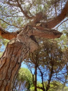 Das magisch mystische Sardinien