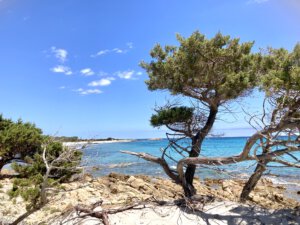 Das magisch mystische Sardinien