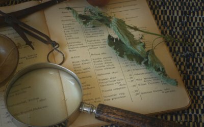 Schreib dein eigenes Rezept