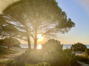 Morgenmeditation für Lichtarbeiter
