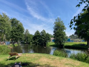 Monatsrückblick Juli 2025: Mein letzter Urlaub