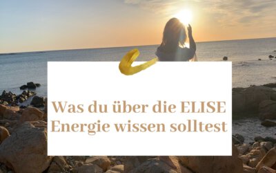 Was du über die Elise Energie wissen solltest