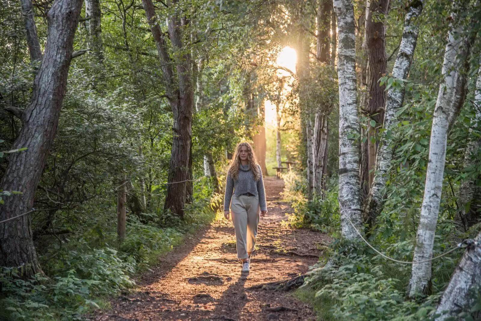 Du siehst den Wald vor lauter Bäumen nicht Spirituelles Coaching